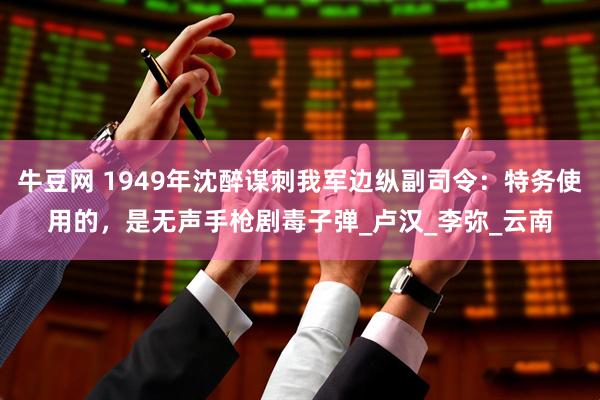 牛豆网 1949年沈醉谋刺我军边纵副司令：特务使用的，是无声手枪剧毒子弹_卢汉_李弥_云南